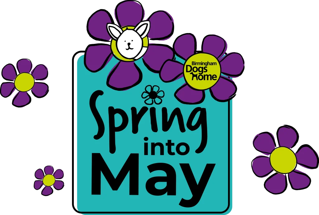 Cheerful Spring into May Celebration Seasonal Clipart Design with Playful Flowers