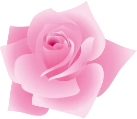 Delicate Pink Rose Clipart: Soft Petals Blooming with Elegant Simplicity