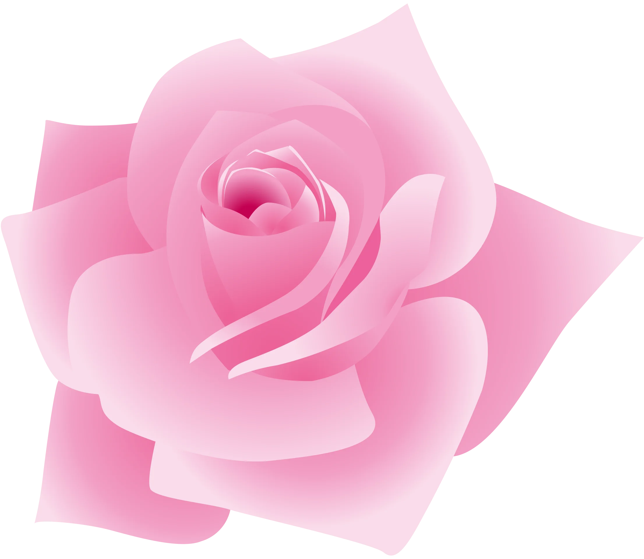 Delicate Pink Rose Clipart: Soft Petals Blooming with Elegant Simplicity