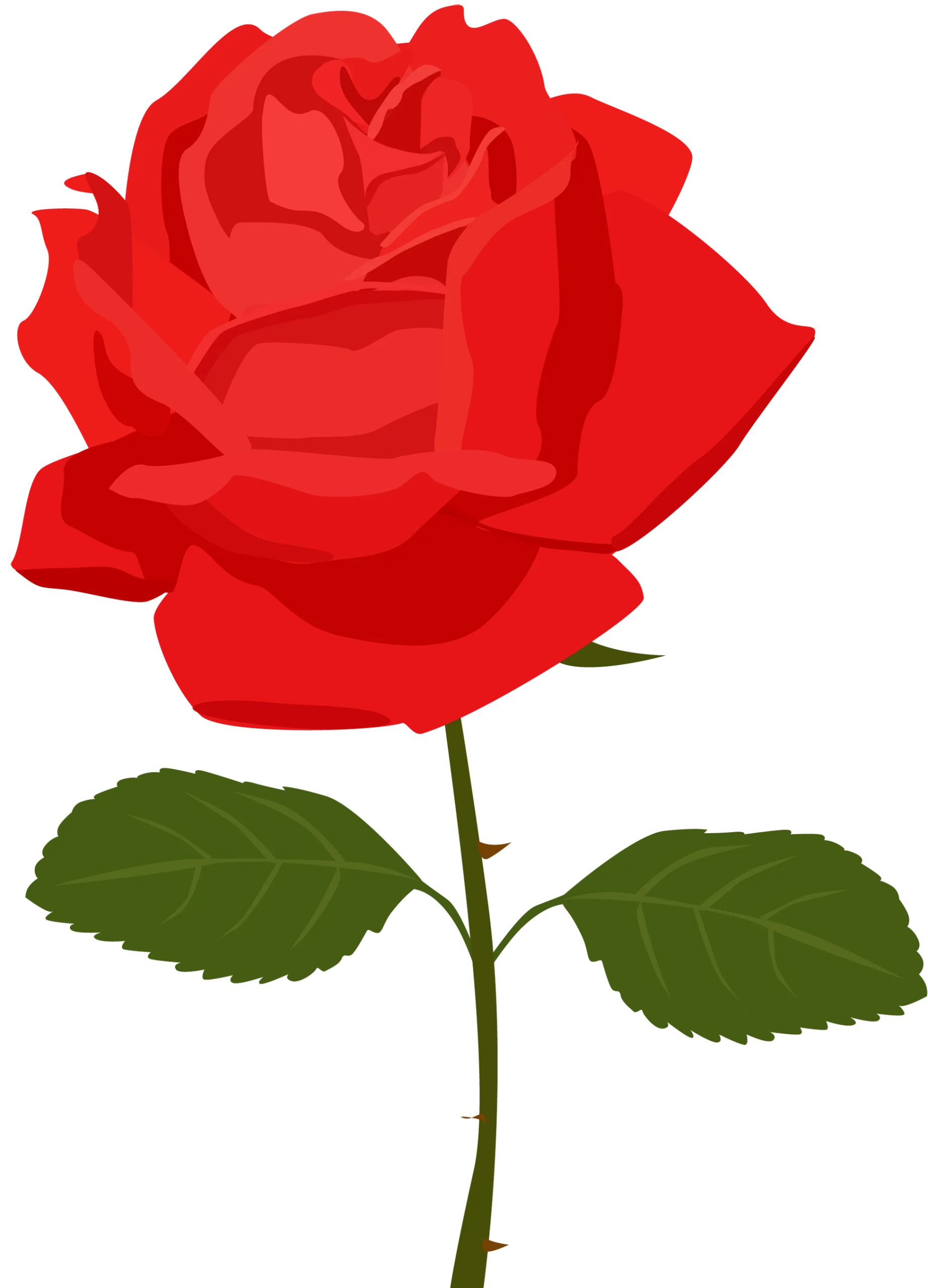 Elegant Crimson Rose Clipart: A Timeless Symbol of Passion and Beauty