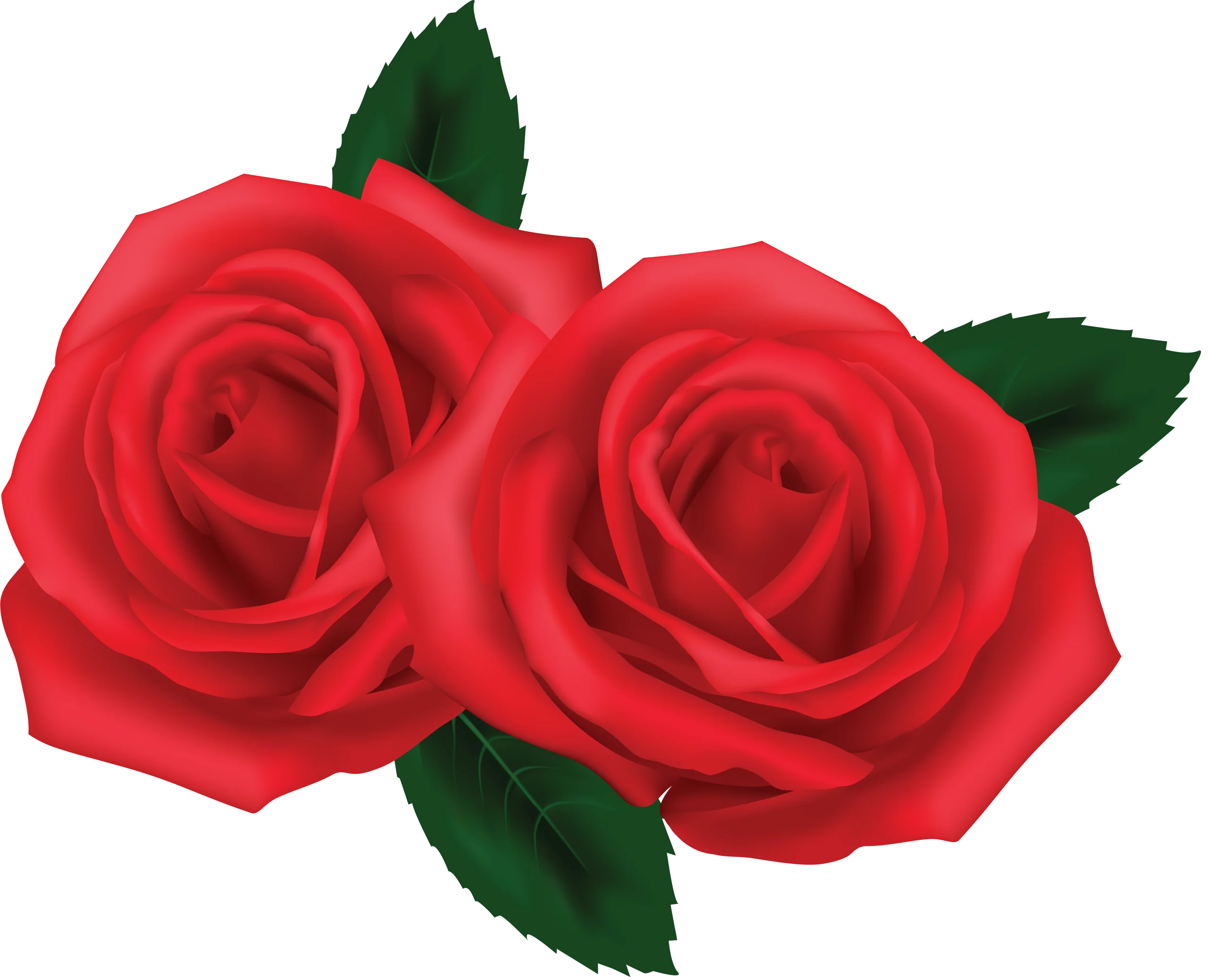 Elegant Crimson Twin Roses Clipart - Romantic Floral Illustration Design