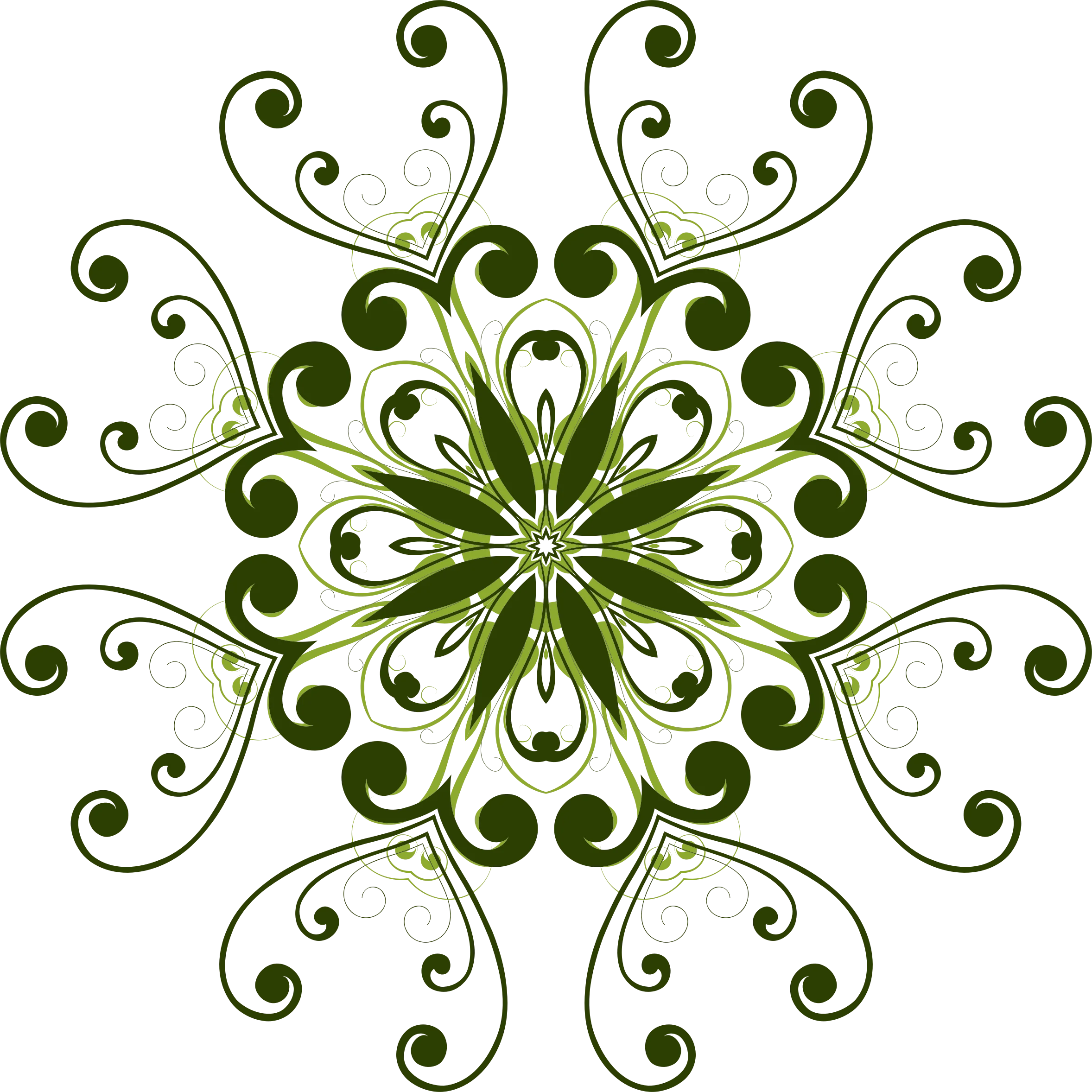 Elegant Green Symmetrical Floral Clipart with Intricate Curling Tendrils and Scrollwork Design