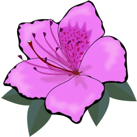 Elegant Pink Azalea Bloom Botanical Clipart Illustration with Soft Petals