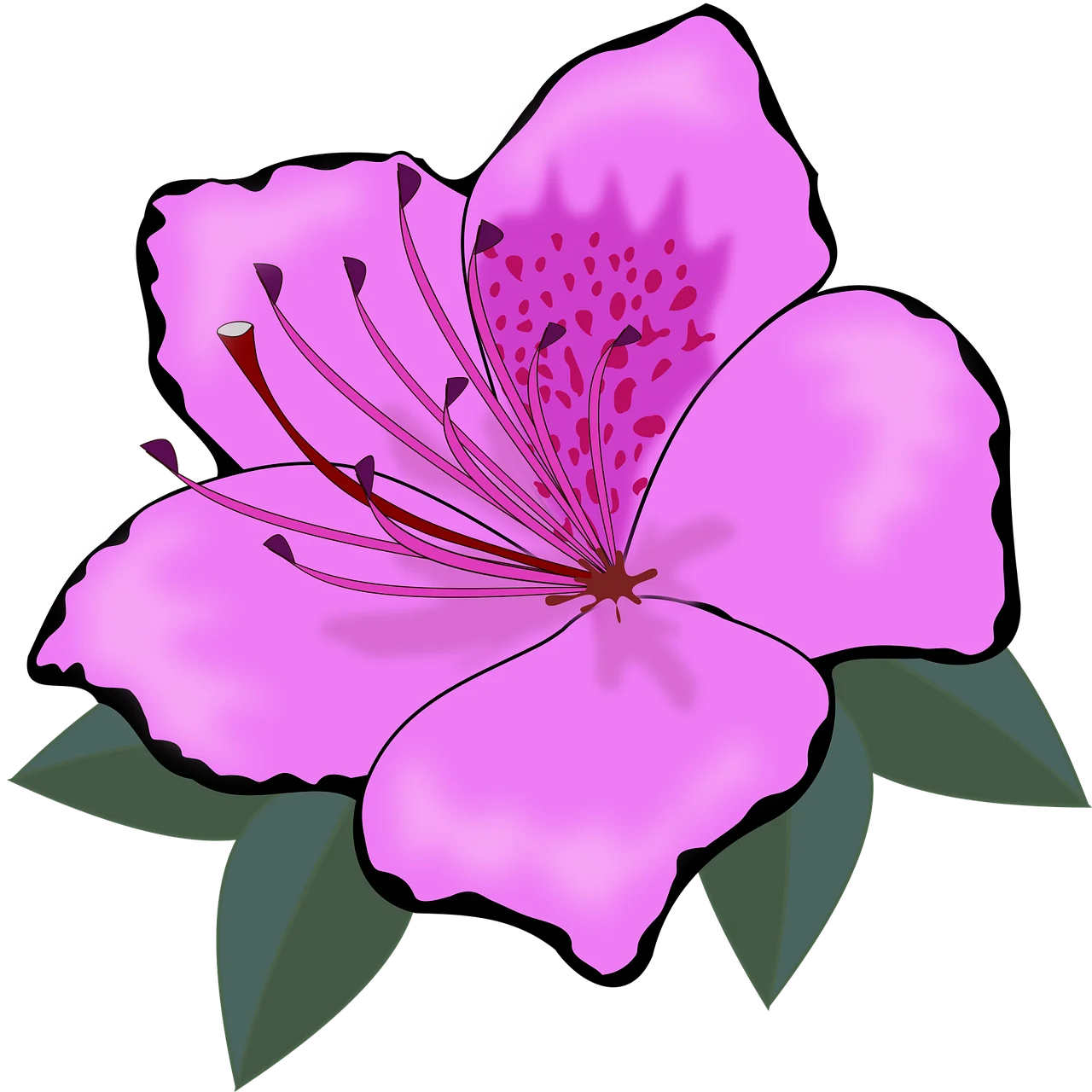 Elegant Pink Azalea Bloom Botanical Clipart Illustration with Soft Petals