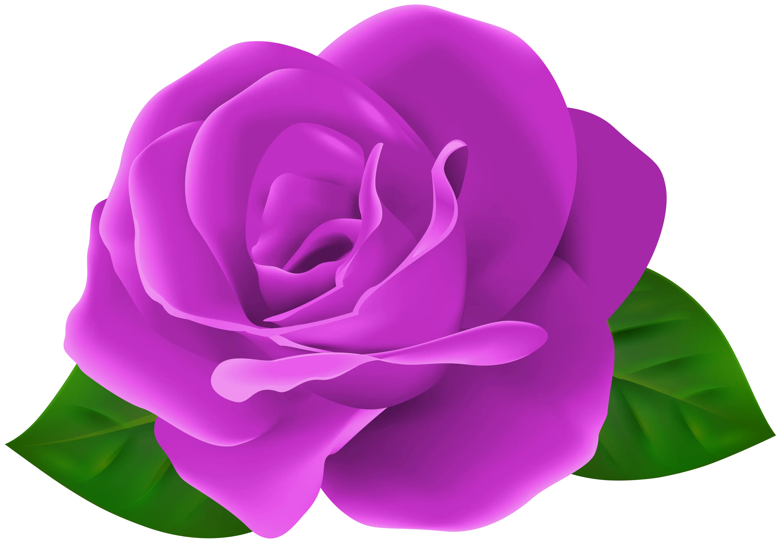Elegantly Crafted Magenta Rose Clipart with Verdant Leaves on White Background
