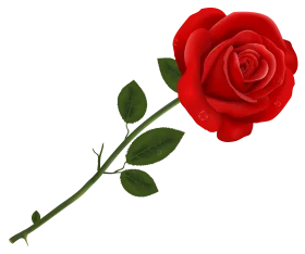 Elegantly Crafted Red Rose Clipart with Delicate Green Stem and Leaves