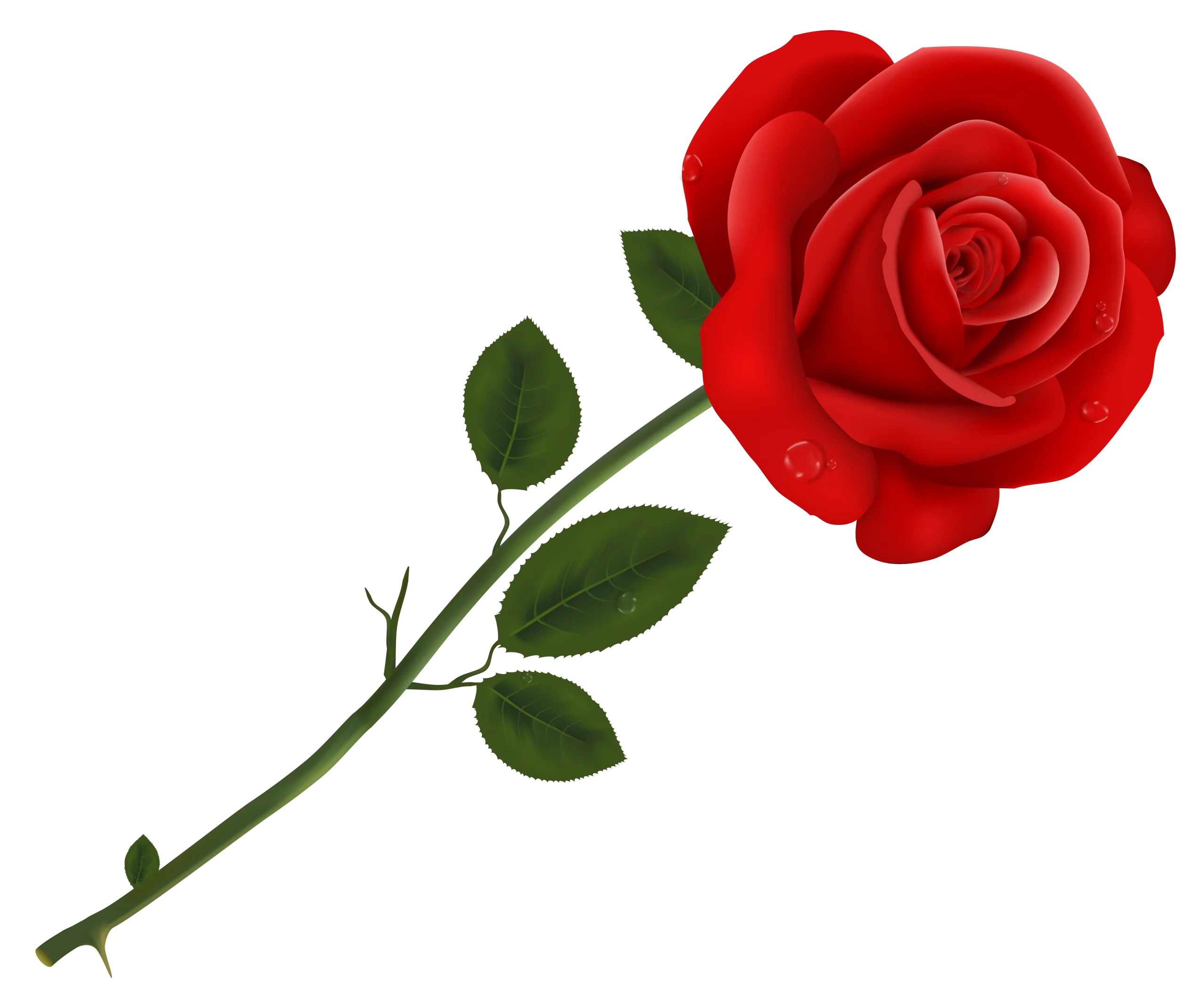 Elegantly Crafted Red Rose Clipart with Delicate Green Stem and Leaves