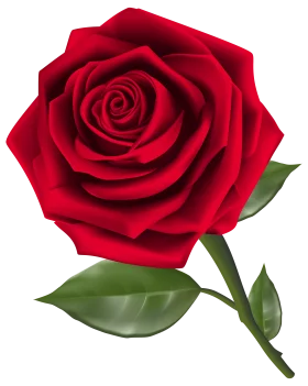 Exquisite Crimson Rose Clipart - Delicate Petals in High-Resolution Detail