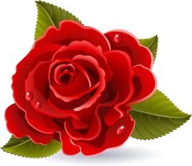 Lush Crimson Rose Clipart with Dewdrop Details and Emerald Leaves