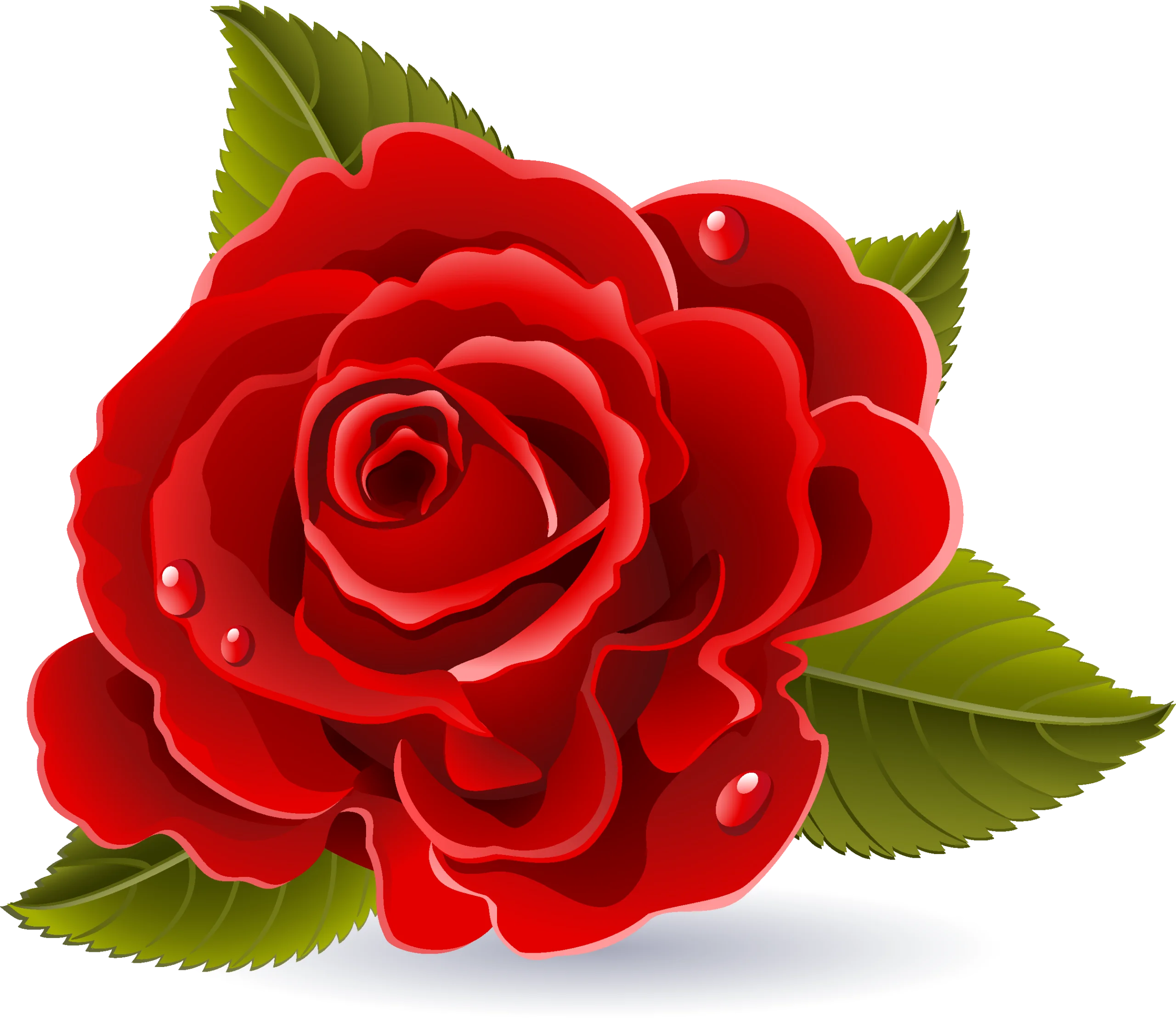 Lush Crimson Rose Clipart with Dewdrop Details and Emerald Leaves