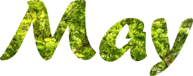 Lush Green May Handwritten Clipart Typography with Natural Leaf Texture