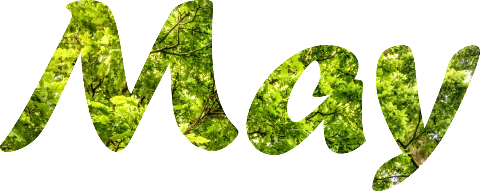 Lush Green May Handwritten Clipart Typography with Natural Leaf Texture