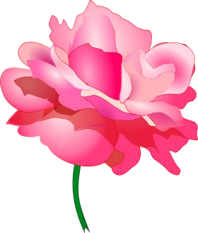 Soft Pink Rose Clipart: Delicate Petals Blooming with Elegant Charm and Grace