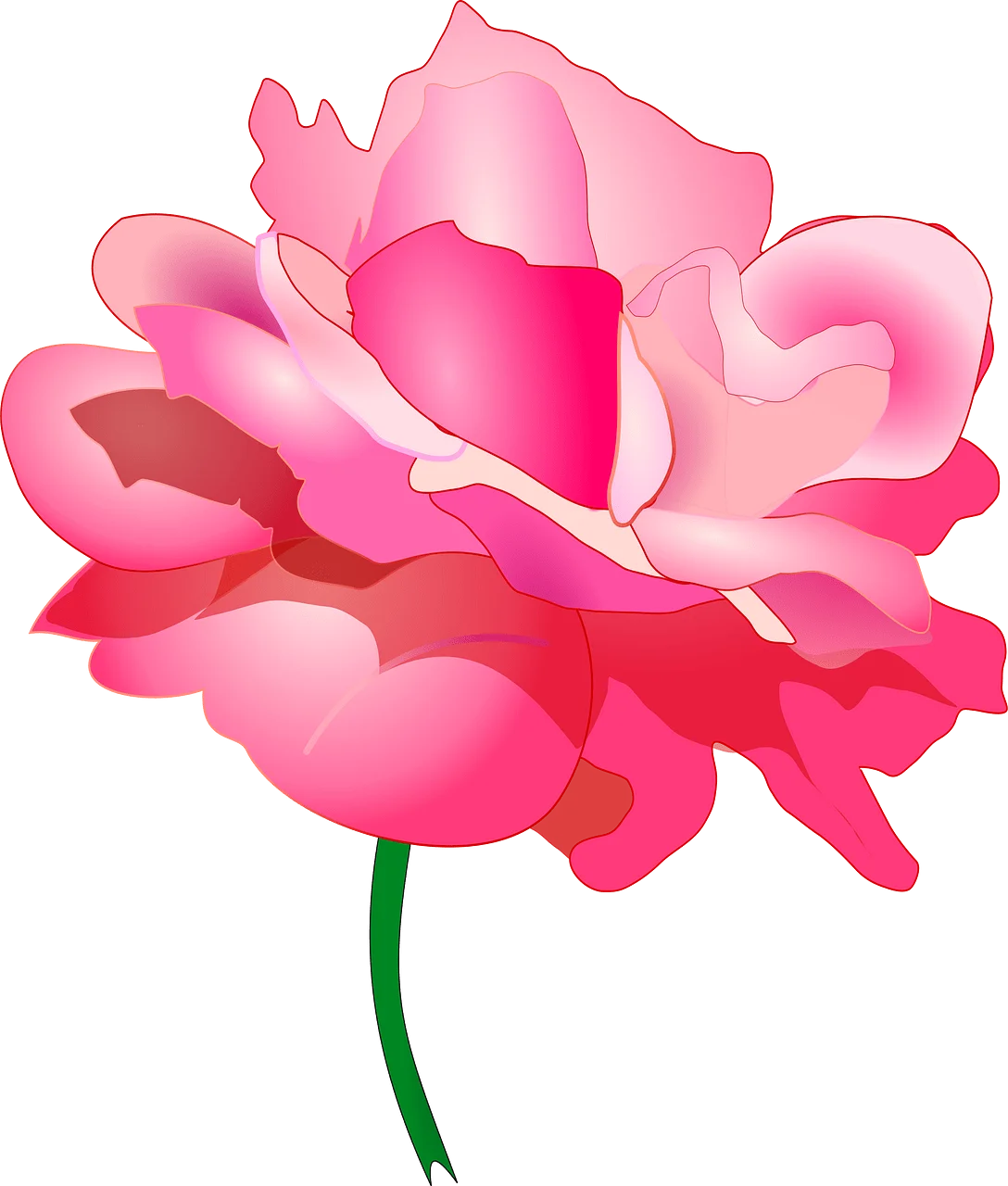 Soft Pink Rose Clipart: Delicate Petals Blooming with Elegant Charm and Grace