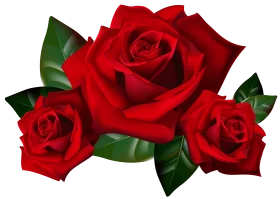 Stunning Deep Crimson Red Roses Clipart with Emerald Green Leaves Illustration