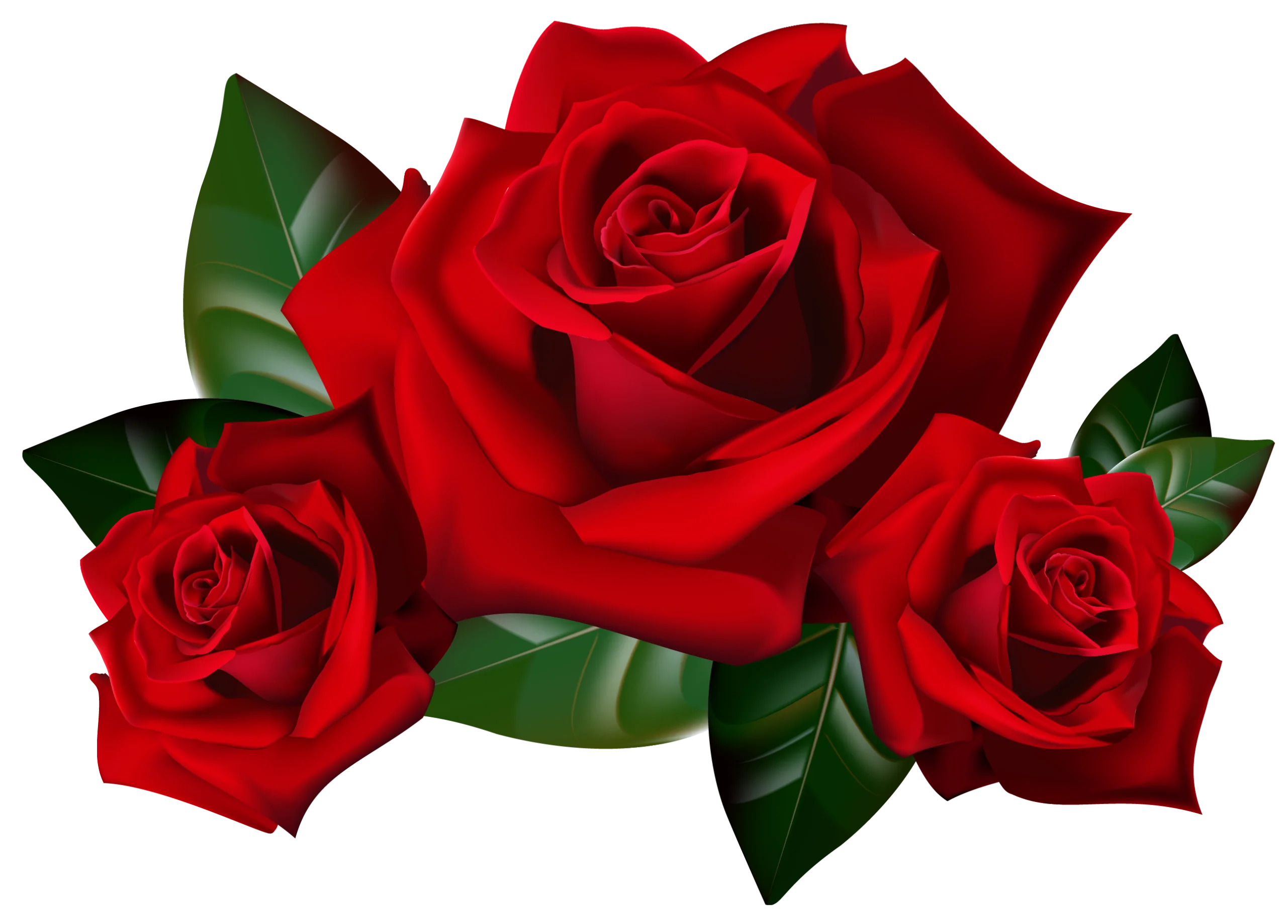 Stunning Deep Crimson Red Roses Clipart with Emerald Green Leaves Illustration