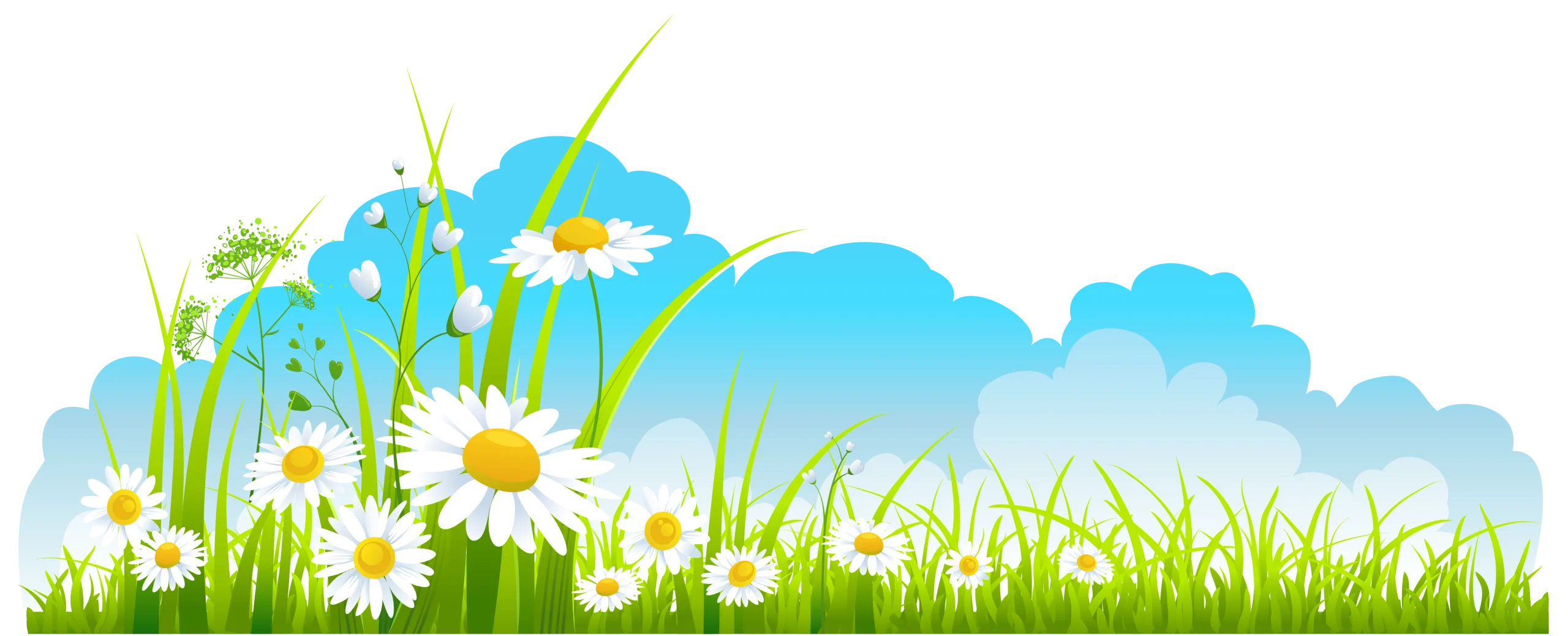 Cheerful Spring Meadow Landscape with Daisies and Fluffy Clouds Clipart Design