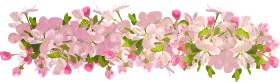 Delicate Pink Blossoming Cherry Branches Spring Floral Clipart Design