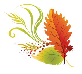 Autumn Elegance: A Whimsical Fall Season Leaf Composition Clipart Design