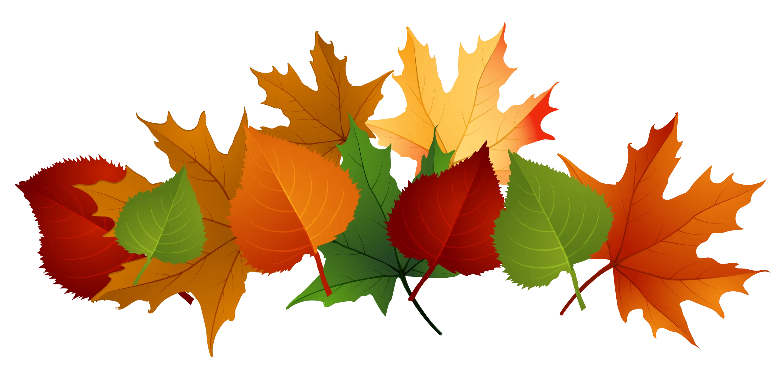 Autumn Maple Leaves Clipart: A Colorful Seasonal Arrangement of Falling Foliage