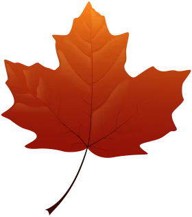 Autumnal Maple Leaf Clipart: A Warm Gradient of Seasonal Transformation