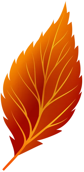 Autumn's Fiery Embrace: A Detailed Seasonal Fall Leaf Clipart Design