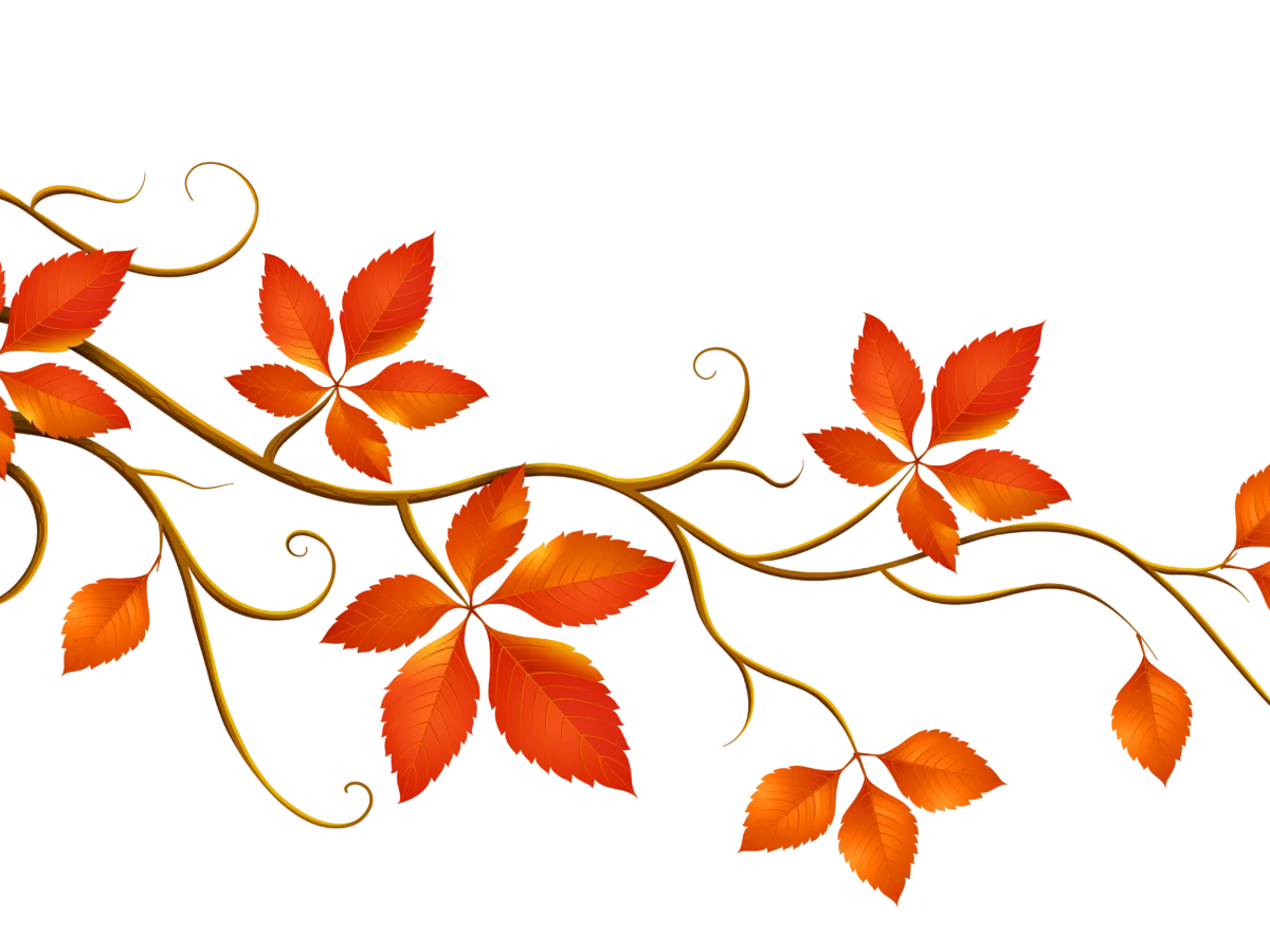Elegant Autumn Leaves Clipart - Graceful Branches with Warm Orange Foliage