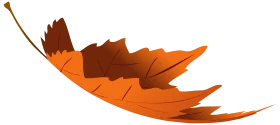 Elegant Autumn Maple Leaf Falling Gracefully in Warm Orange Tones Clipart