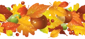 Enchanting Autumn Leaf Arrangement Seamless Seasonal Clipart Border Design