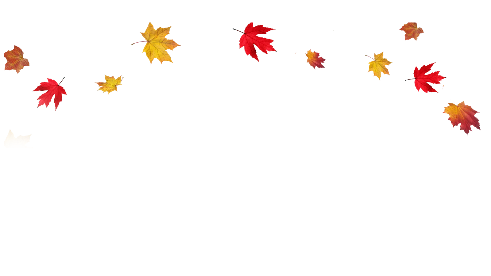 Enchanting Autumn Maple Leaves Gracefully Dancing Seasonal Clipart Design