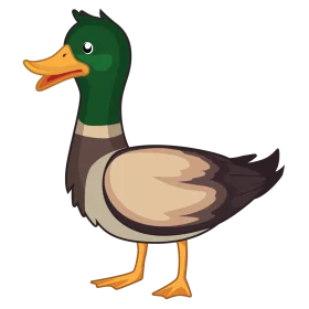 Charming Mallard Duck Clipart Illustration with Playful Green and Brown Feathers