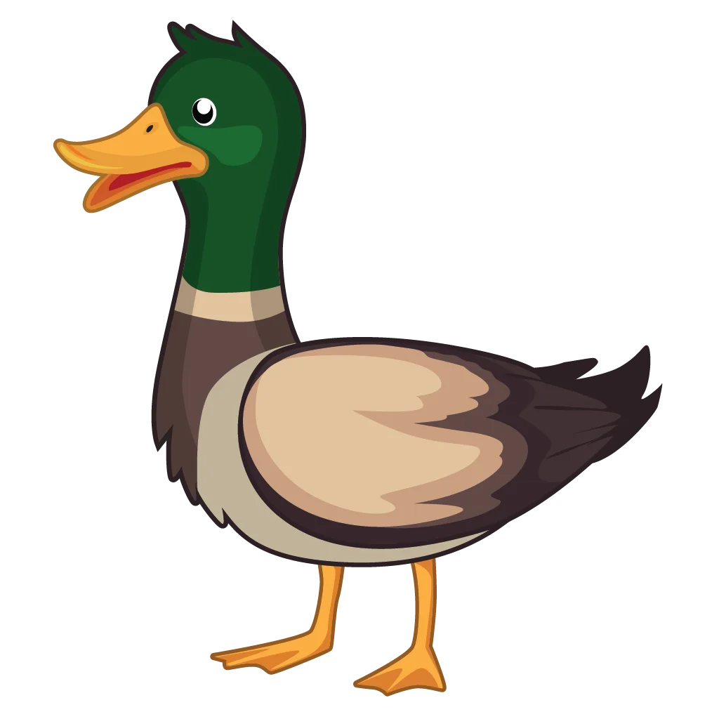Charming Mallard Duck Clipart Illustration with Playful Green and Brown Feathers