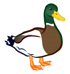 Charming Mallard Duck Clipart: Stylized Waterfowl Illustration with Playful Design