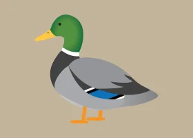 Minimalist Mallard Duck Clipart with Simplified Geometric Design
