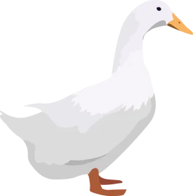 Serene White Duck Clipart: Minimalist Illustration of Feathered Farmyard Friend