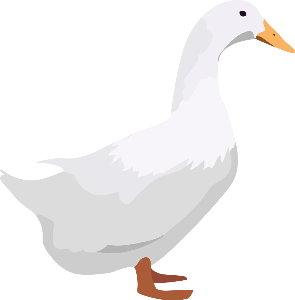 Serene White Duck Clipart: Minimalist Illustration of Feathered Farmyard Friend