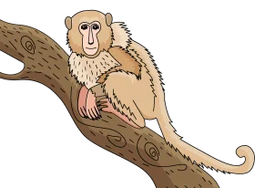 Charming Monkey Clipart: A Fuzzy Primate Perched on a Textured Wooden Branch