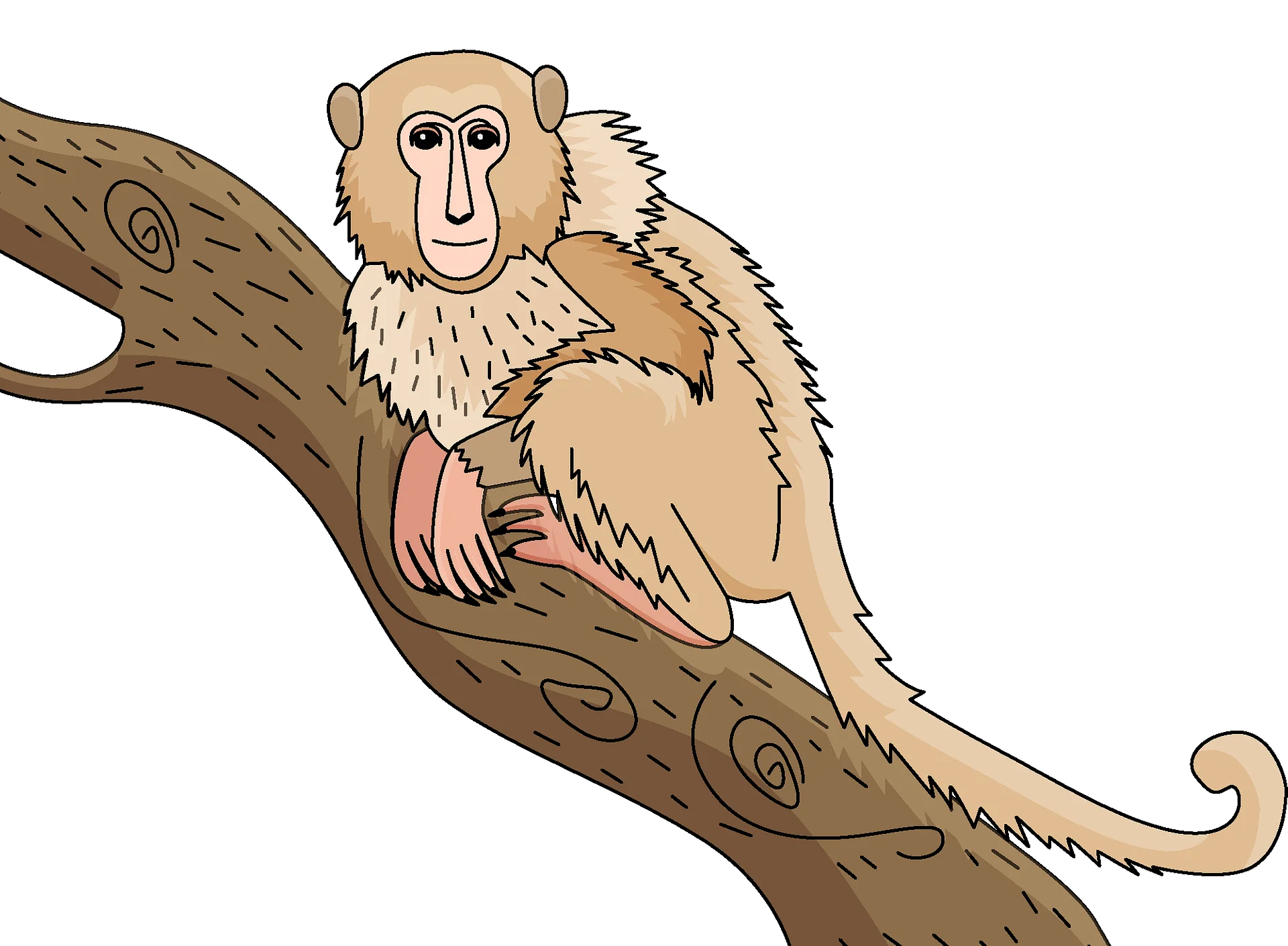 Charming Monkey Clipart: A Fuzzy Primate Perched on a Textured Wooden Branch