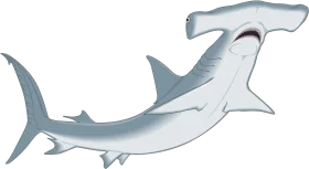 Detailed Hammerhead Shark Clipart Illustration with Stylized Marine Design