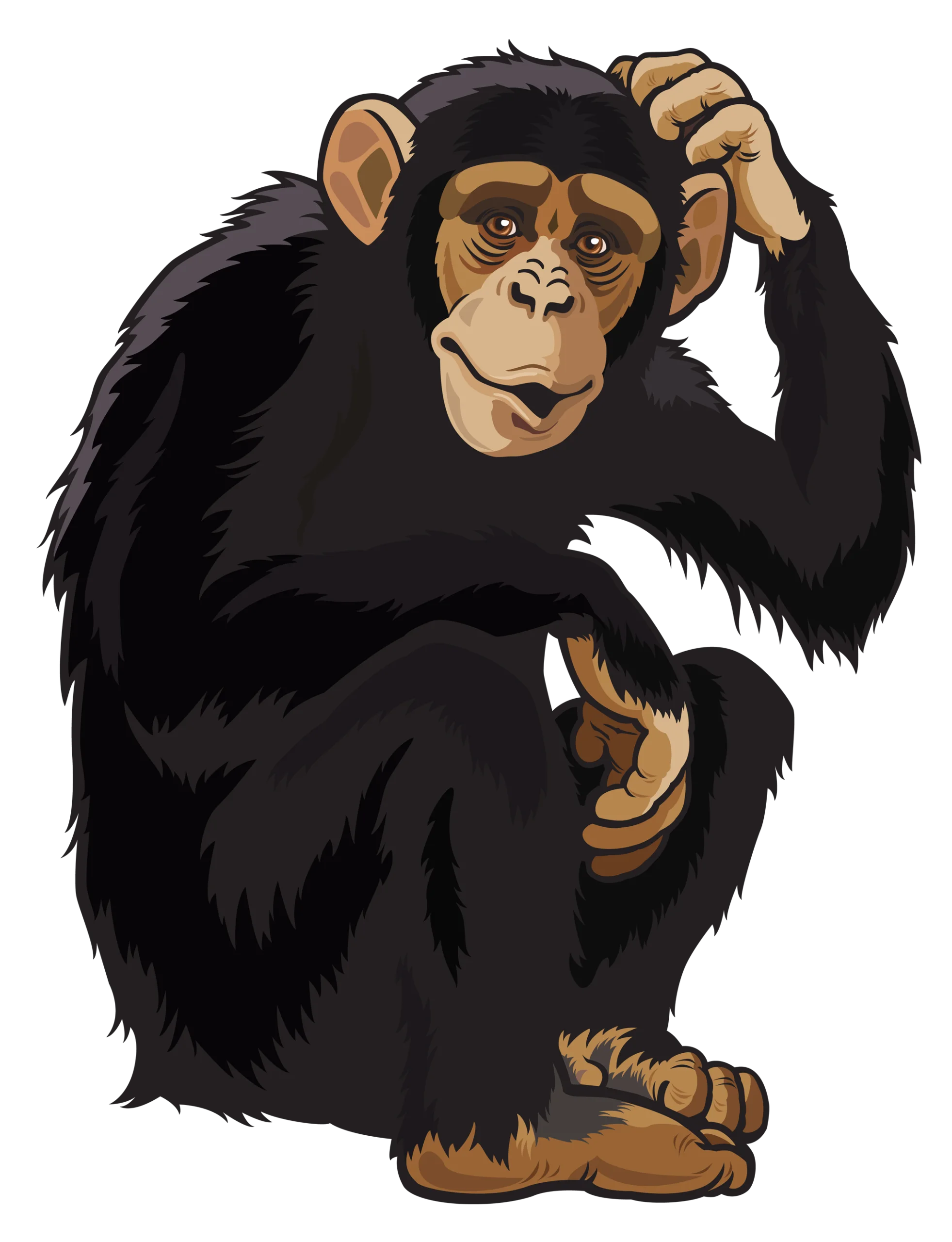 Inquisitive Chimpanzee Clipart - Adorable Primate Scratching Head with Curious Expression