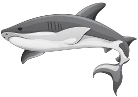 Minimalist Black and White Shark Clipart with Sleek Marine Design