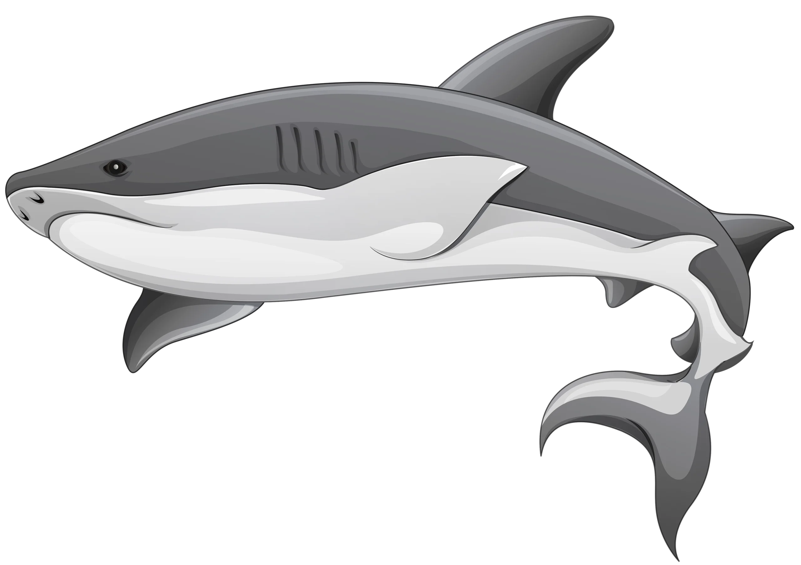 Minimalist Black and White Shark Clipart with Sleek Marine Design
