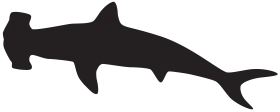Minimalist Silhouette of Hammerhead Shark Clipart Design for Marine Enthusiasts