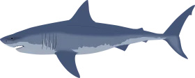 Sleek and Powerful Oceanic Predator Shark Clipart Illustration Design