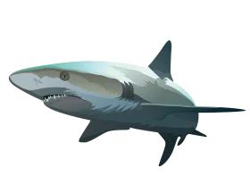 Sleek and Streamlined Gray Shark Clipart Illustration for Marine Design