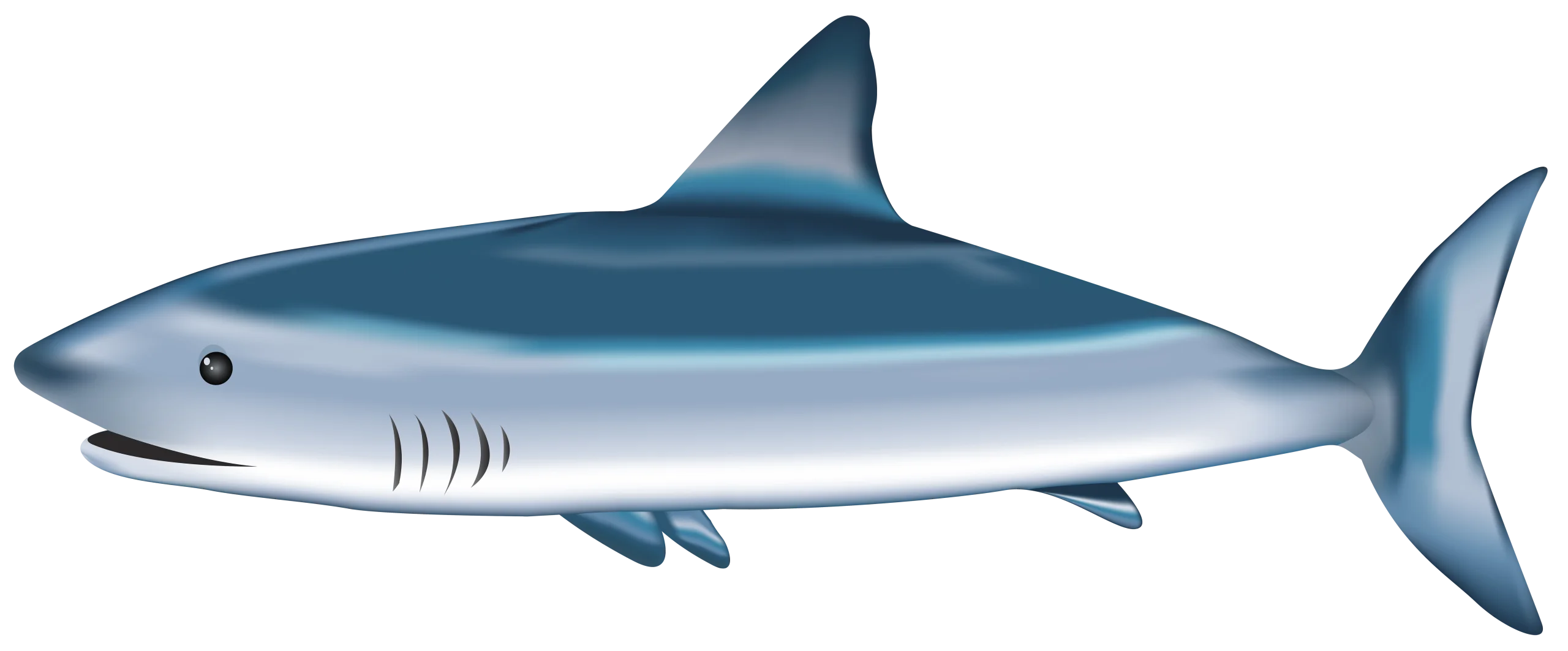 Sleek Blue-Gray Shark Clipart Illustration with Streamlined Marine Design