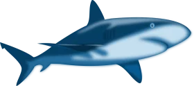 Sleek Blue Marine Predator Shark Clipart Illustration with Smooth Design