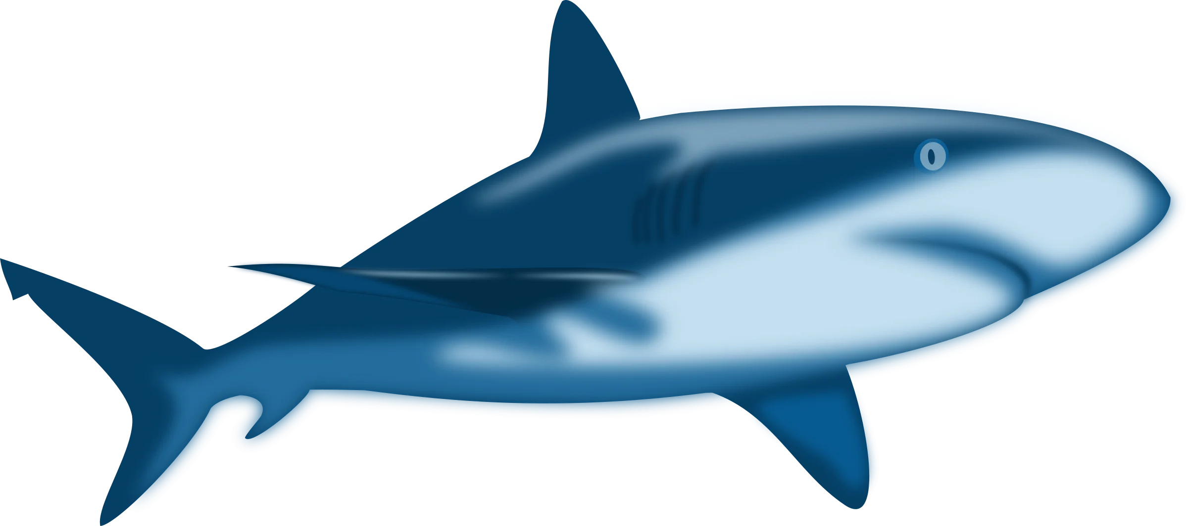 Sleek Blue Marine Predator Shark Clipart Illustration with Smooth Design