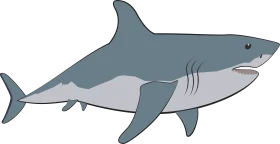 Sleek Gray Shark Clipart: Underwater Predator with Sharp Silhouette Design
