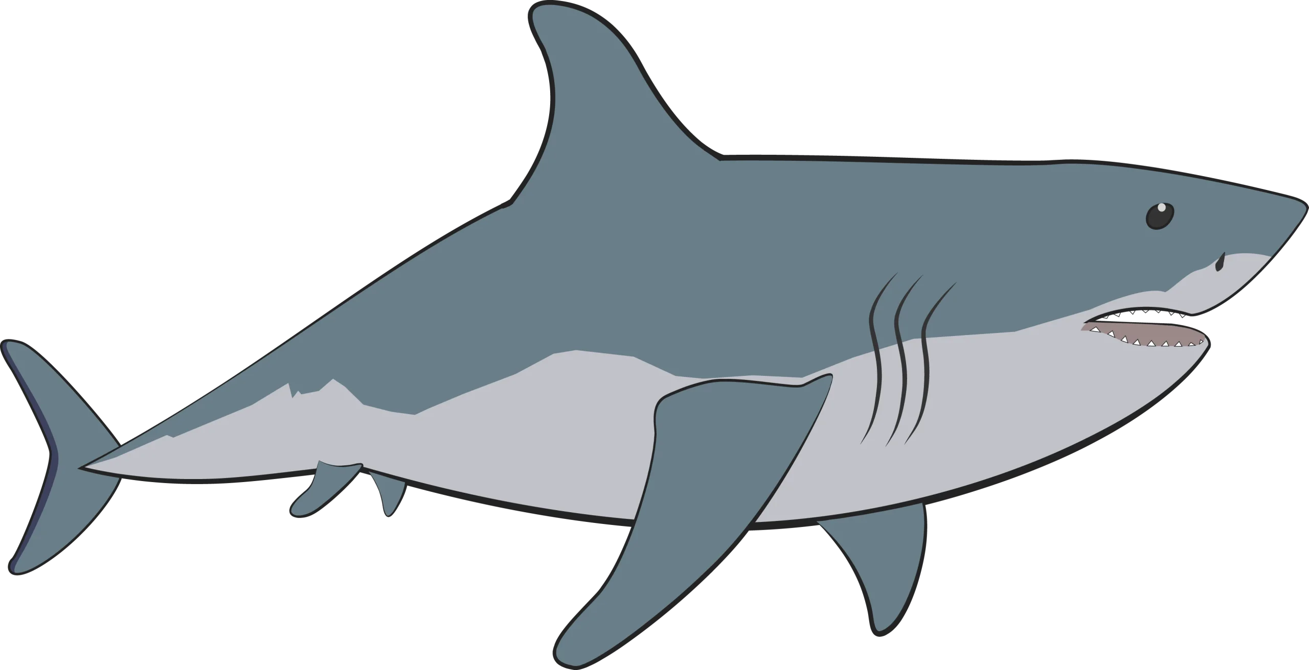 Sleek Gray Shark Clipart: Underwater Predator with Sharp Silhouette Design